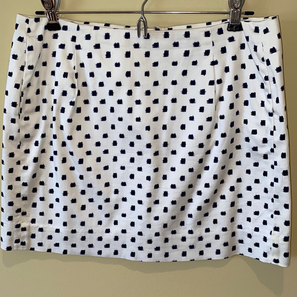J. Crew Skirt (4)